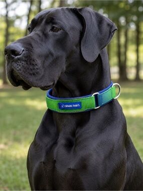 Spark Paws XXL Padded  Dog Collar | Reflective | LIME WAVE | Heavy Duty SZ E